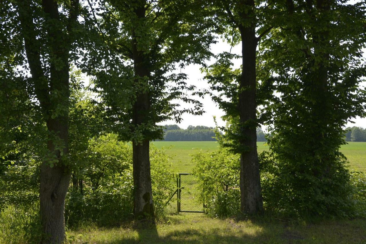 Mamrowisko Villa Wegorzewo Luaran gambar